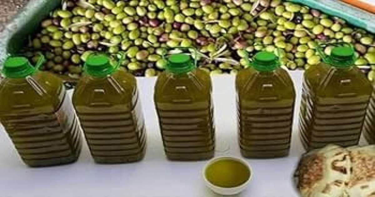 قبول زيت الزيتون من صغار الفلاحين بداية من 17 نوفمبر