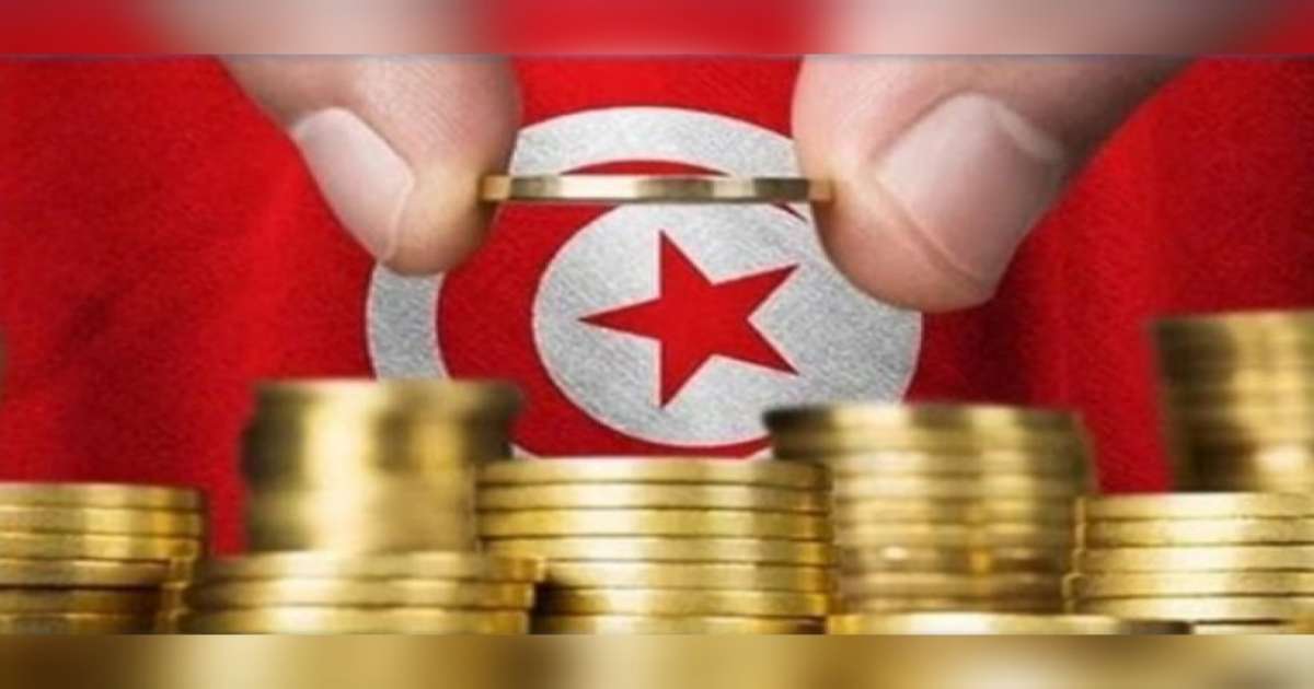 ميزانية 2026: اعتمادات وزارة الفلاحة في حدود 2467 مليون دينار