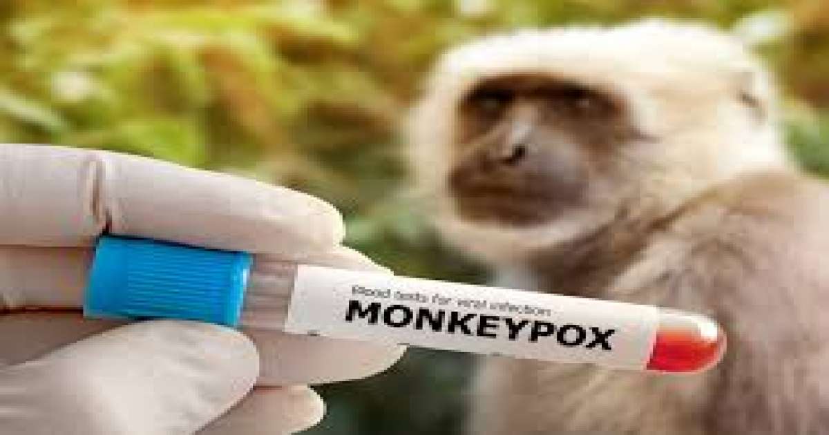 إدارة الغذاء والدواء الأمريكية تكشف عن توجّه لتقليل التجارب على القردة